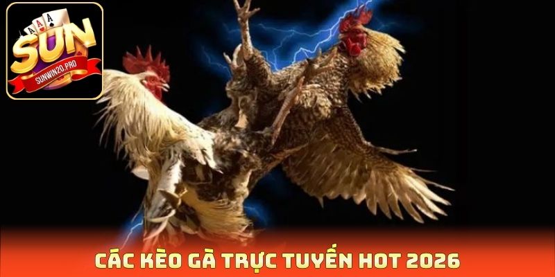 Các kèo gà trực tuyến hot 2026