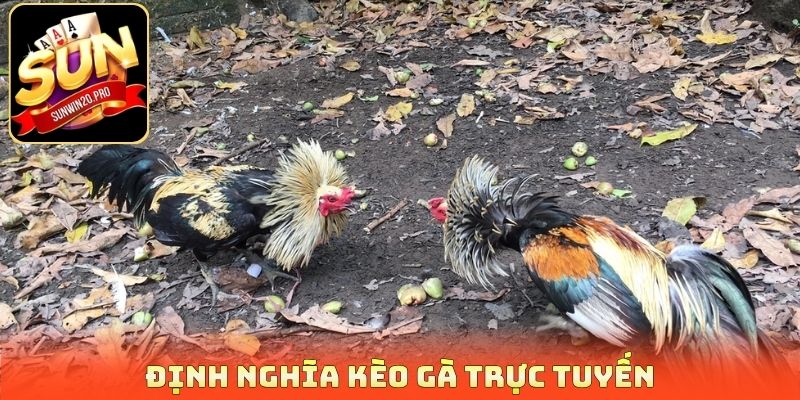 Định nghĩa kèo gà trực tuyến