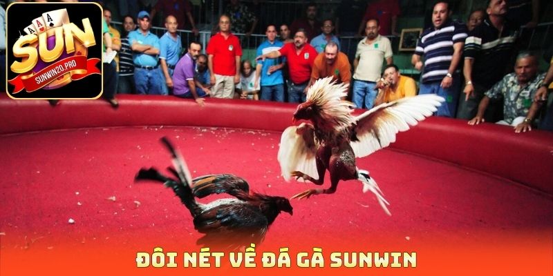 Đôi nét về đá gà Sunwin
