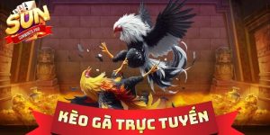 Kèo Gà Trực Tuyến